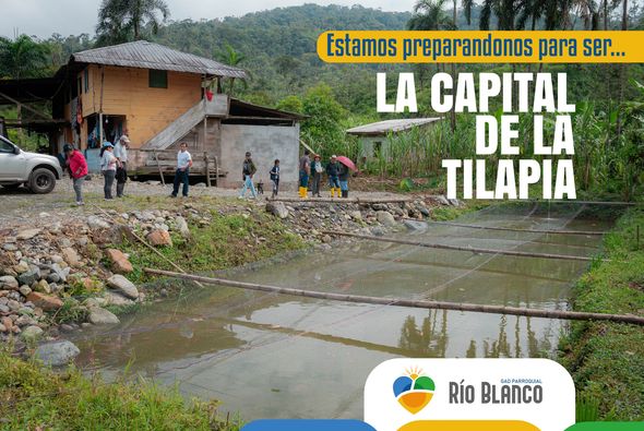 Rio Blnco Capital de la tilapia